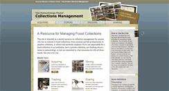 Desktop Screenshot of collections.paleo.amnh.org